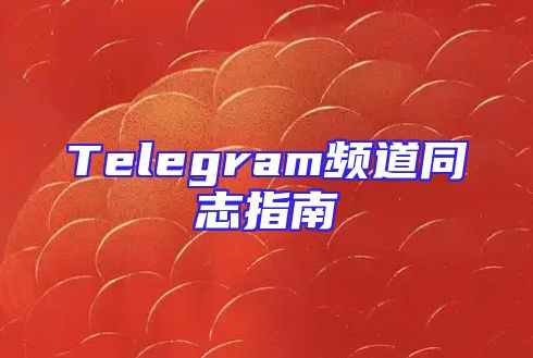 Telegram频道同志指南