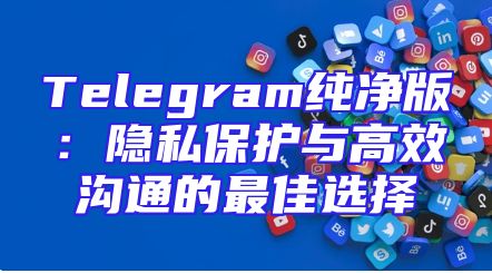 Telegram纯净版：隐私保护与高效沟通的最佳选择