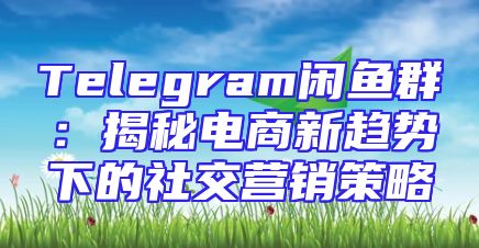 Telegram闲鱼群：揭秘电商新趋势下的社交营销策略