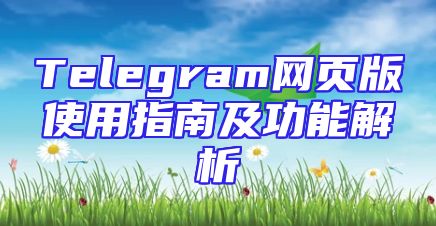 Telegram网页版使用指南及功能解析