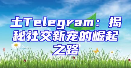 土Telegram：揭秘社交新宠的崛起之路