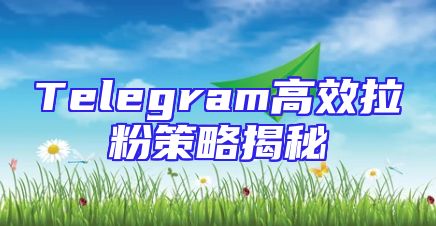 Telegram高效拉粉策略揭秘