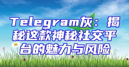 Telegram灰：揭秘这款神秘社交平台的魅力与风险