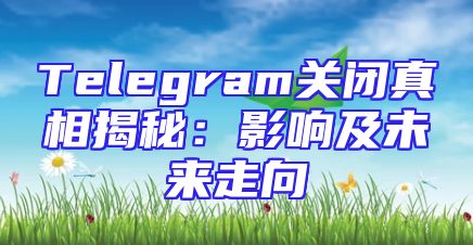 Telegram关闭真相揭秘：影响及未来走向