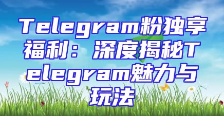 Telegram粉独享福利：深度揭秘Telegram魅力与玩法