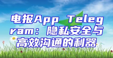 电报App Telegram：隐私安全与高效沟通的利器