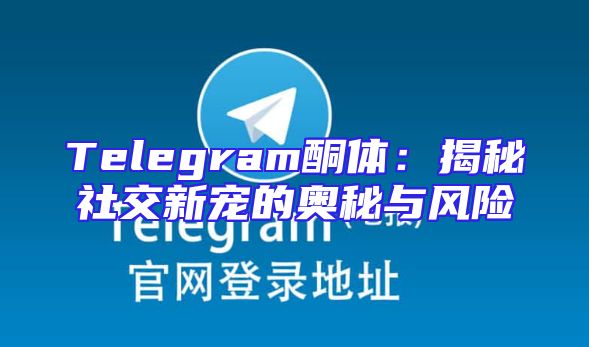 Telegram酮体：揭秘社交新宠的奥秘与风险