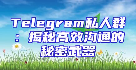 Telegram私人群：揭秘高效沟通的秘密武器