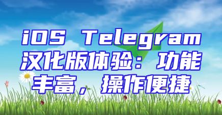 iOS Telegram汉化版体验：功能丰富，操作便捷