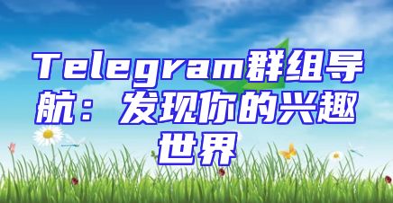 Telegram群组导航：发现你的兴趣世界
