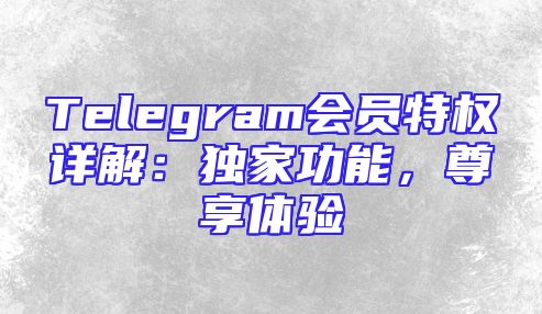 Telegram会员特权详解：独家功能，尊享体验