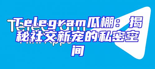 Telegram瓜棚：揭秘社交新宠的私密空间