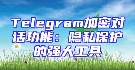 Telegram加密对话功能：隐私保护的强大工具