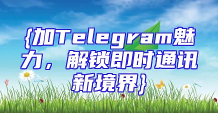 {加Telegram魅力，解锁即时通讯新境界}