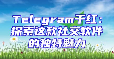 Telegram干红：探索这款社交软件的独特魅力