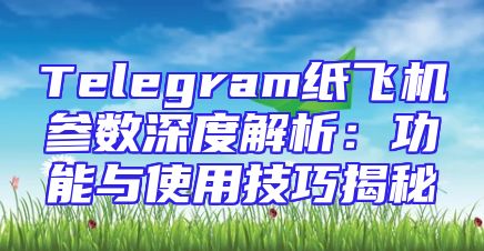Telegram纸飞机参数深度解析：功能与使用技巧揭秘