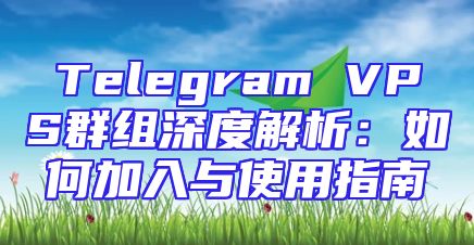 Telegram VPS群组深度解析：如何加入与使用指南