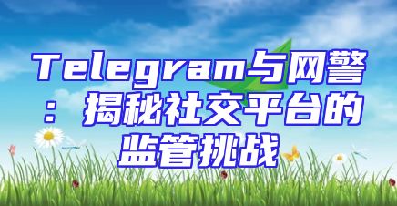 Telegram与网警：揭秘社交平台的监管挑战