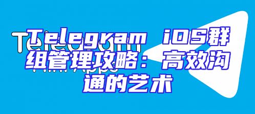 Telegram iOS群组管理攻略：高效沟通的艺术