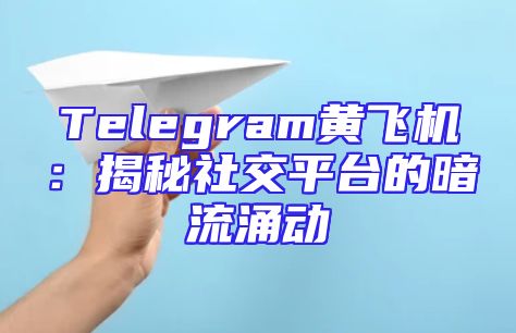 Telegram黄飞机：揭秘社交平台的暗流涌动