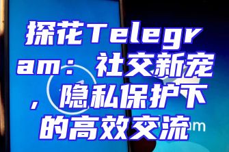 探花Telegram：社交新宠，隐私保护下的高效交流