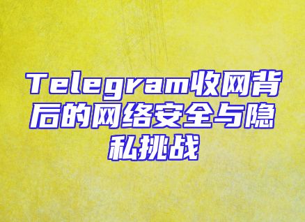 Telegram收网背后的网络安全与隐私挑战