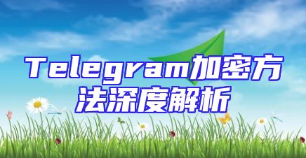 Telegram加密方法深度解析