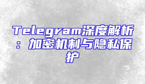 Telegram深度解析：加密机制与隐私保护