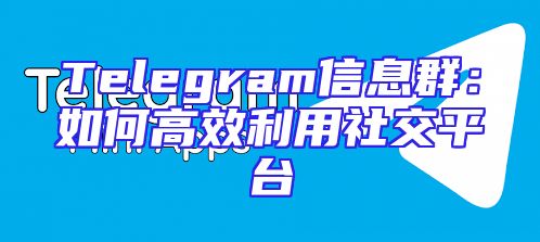 Telegram信息群：如何高效利用社交平台