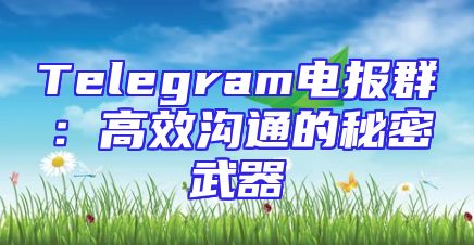 Telegram电报群：高效沟通的秘密武器