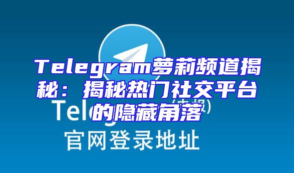 Telegram萝莉频道揭秘：揭秘热门社交平台的隐藏角落