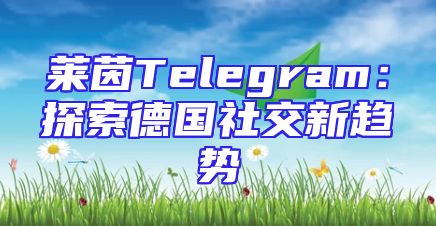 莱茵Telegram：探索德国社交新趋势