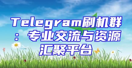 Telegram刷机群：专业交流与资源汇聚平台