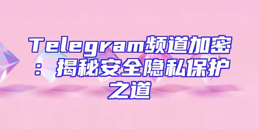 Telegram频道加密：揭秘安全隐私保护之道
