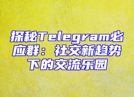 探秘Telegram必应群：社交新趋势下的交流乐园