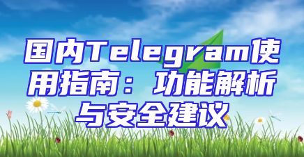 国内Telegram使用指南：功能解析与安全建议