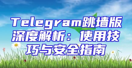 Telegram跳墙版深度解析：使用技巧与安全指南