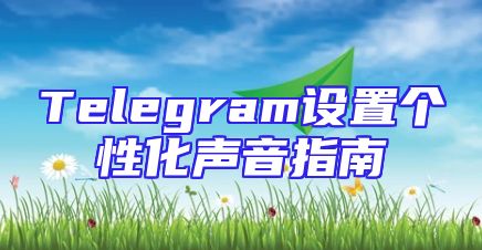 Telegram设置个性化声音指南