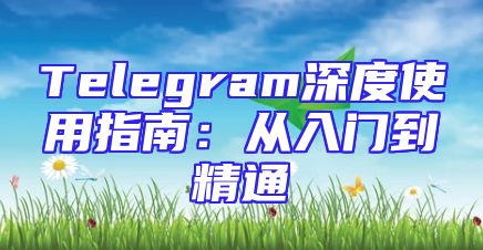 Telegram深度使用指南：从入门到精通