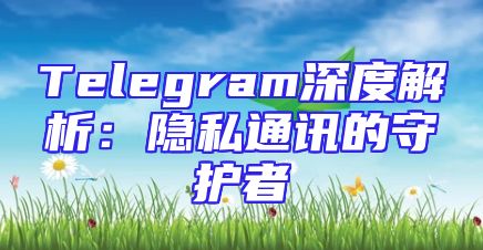 Telegram深度解析：隐私通讯的守护者
