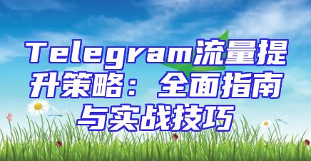 Telegram流量提升策略：全面指南与实战技巧
