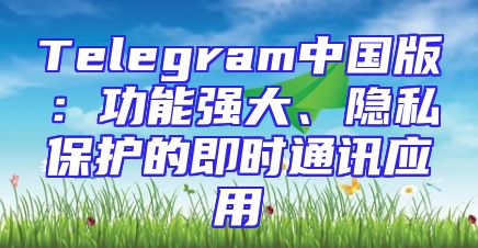 Telegram中国版：功能强大、隐私保护的即时通讯应用