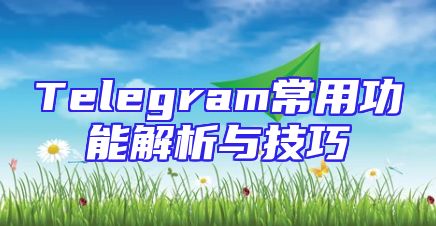 Telegram常用功能解析与技巧