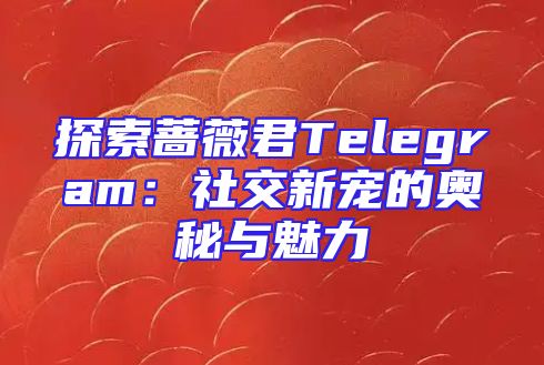 探索蔷薇君Telegram：社交新宠的奥秘与魅力