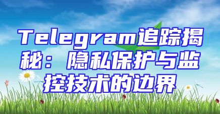 Telegram追踪揭秘：隐私保护与监控技术的边界