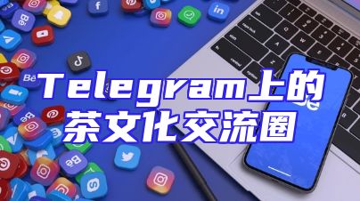 Telegram上的茶文化交流圈