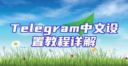 Telegram中文设置教程详解