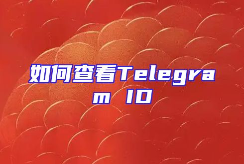 如何查看Telegram ID