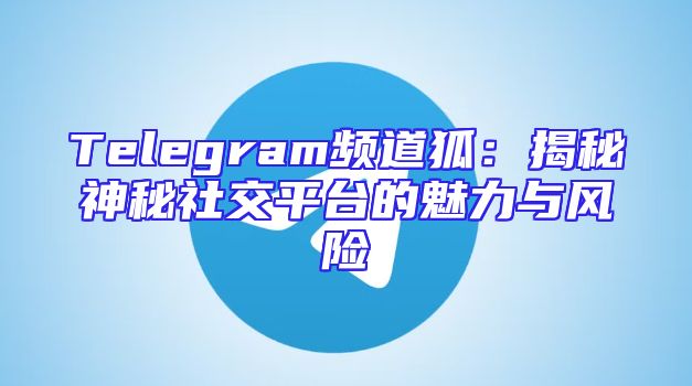 Telegram频道狐：揭秘神秘社交平台的魅力与风险