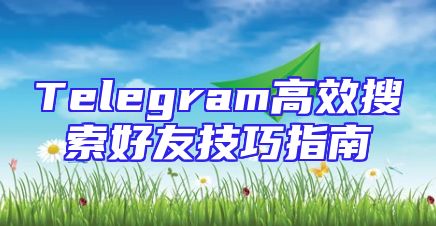 Telegram高效搜索好友技巧指南